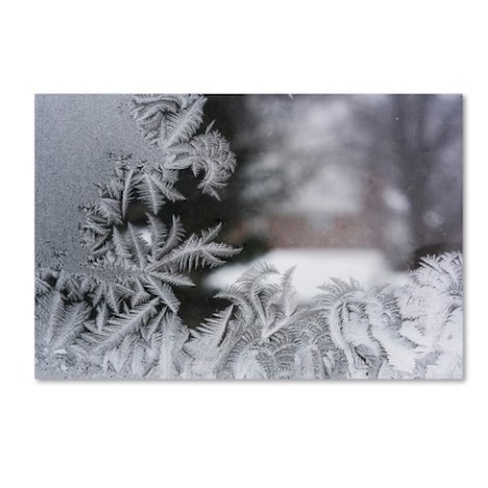 Kurt Shaffer 'Frost On My Window IV' Canvas Art,16x24